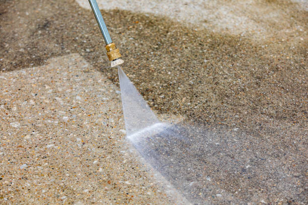 Best Roof Cleaning and Mildew Removal in Madison, MS